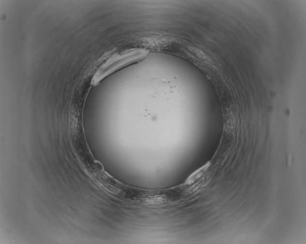 X0000067330456200604131705