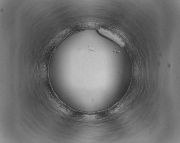 X0000067330457200604131705