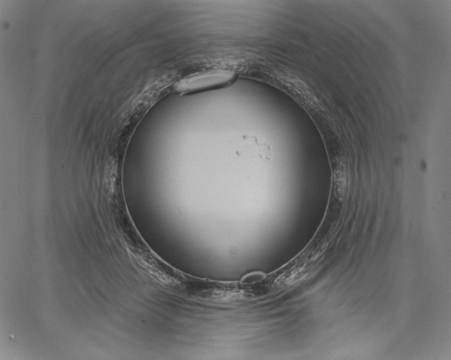 X0000067330458200604131705