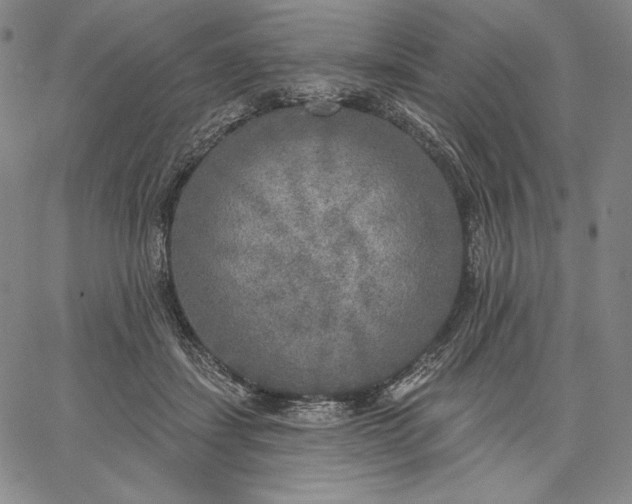 X0000067330459200604131705