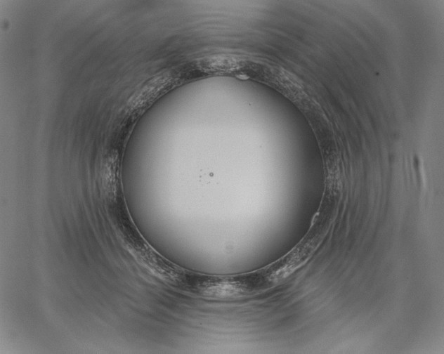 X0000067330460200604131705