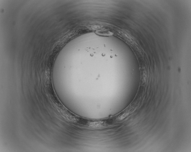 X0000067330461200604131705