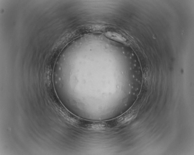 X0000067330462200604131705