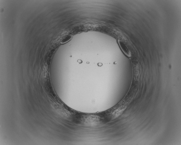 X0000067330463200604131705