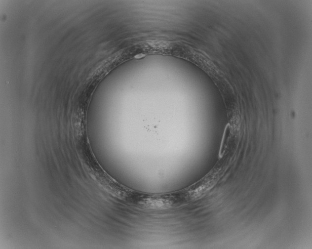 X0000067330464200604131705