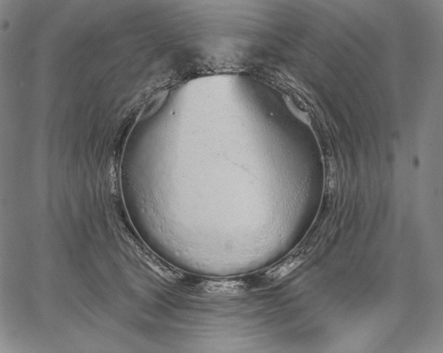 X0000067330465200604131705