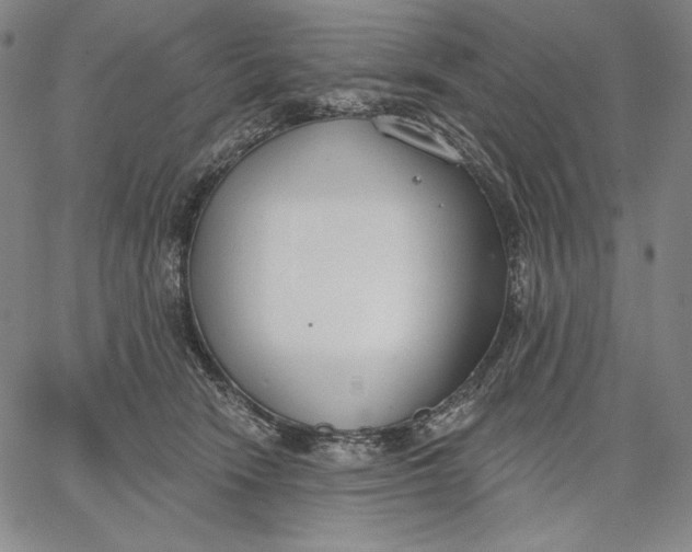 X0000067330466200604131705