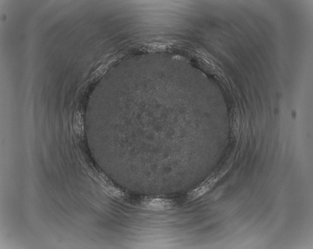 X0000067330467200604131705