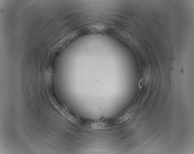 X0000067330468200604131705