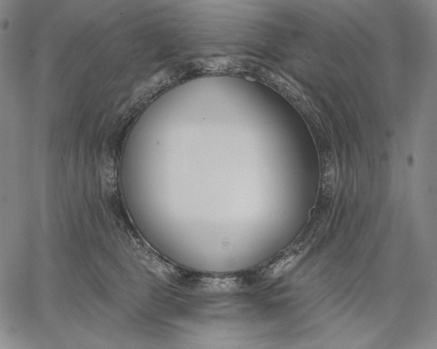 X0000067330469200604131705