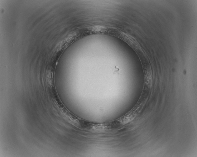 X0000067330470200604131705