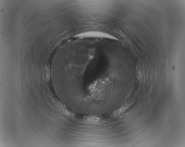 X0000067330471200604131705