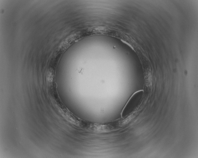 X0000067330472200604131705