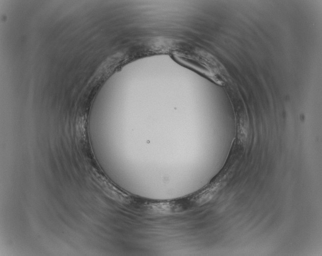 X0000067330473200604131705