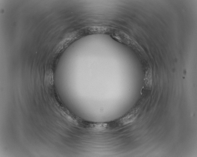 X0000067330474200604131705