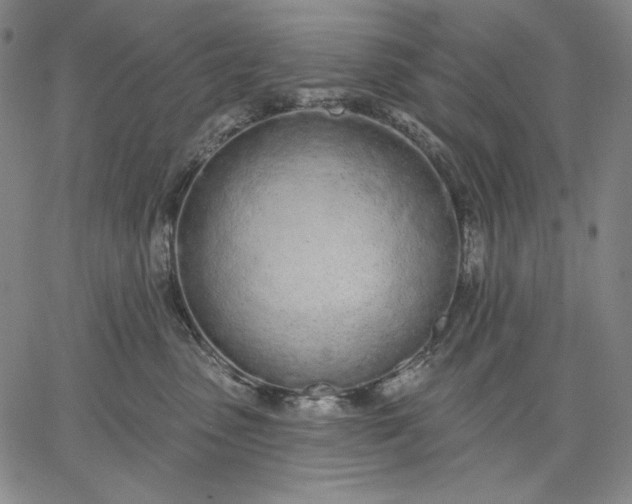 X0000067330475200604131705