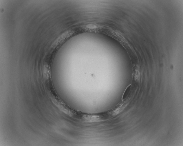 X0000067330476200604131705