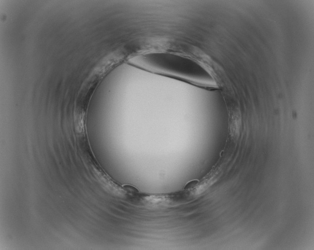 X0000067330477200604131705