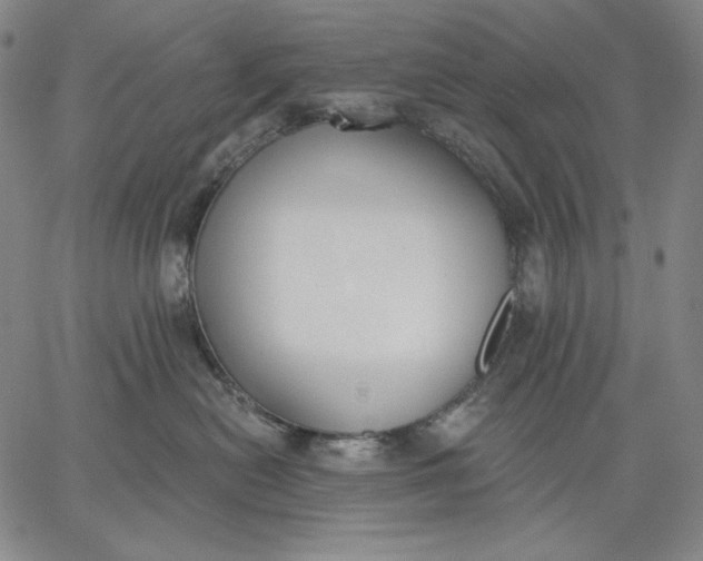 X0000067330478200604131705