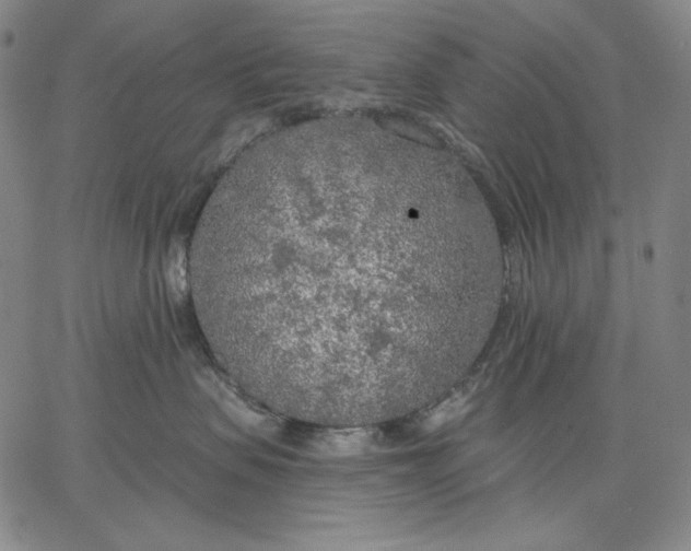 X0000067330479200604131705