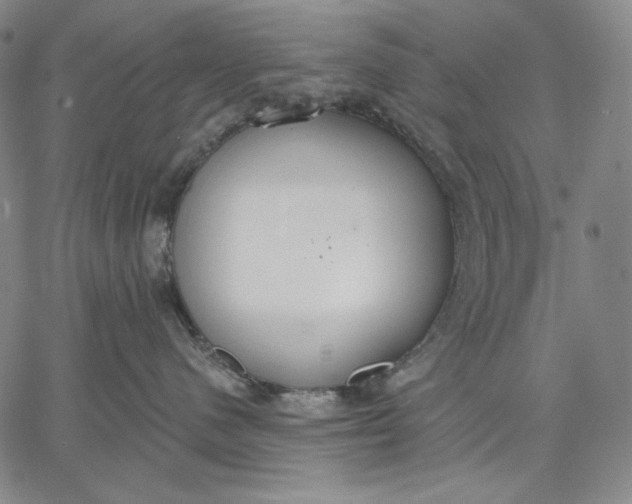 X0000067330480200604131705