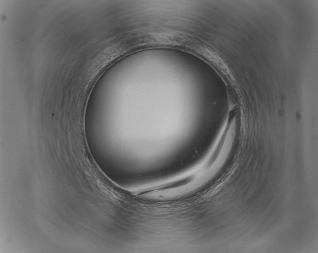 X0000067330481200604131704