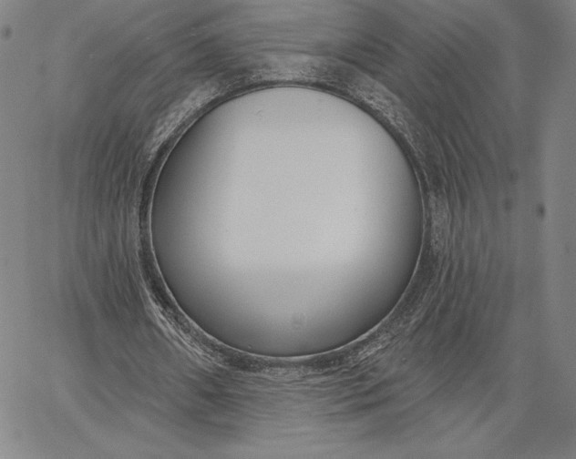 X0000067330482200604131704