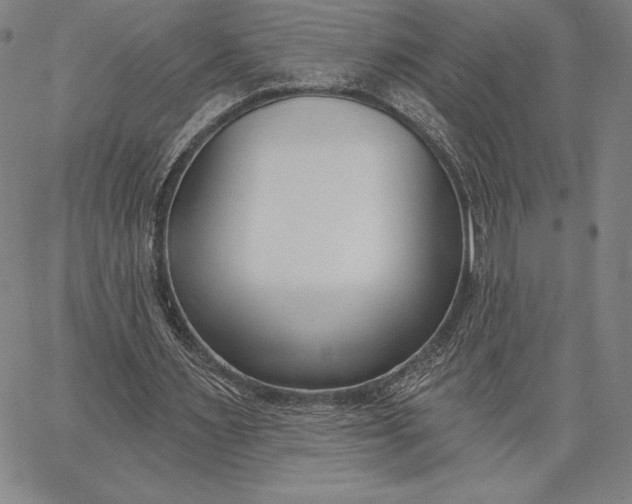 X0000067330483200604131704