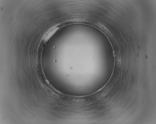 X0000067330484200604131704