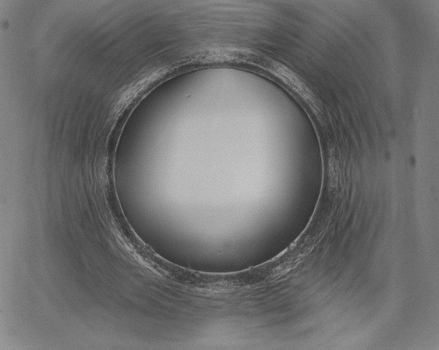 X0000067330485200604131704