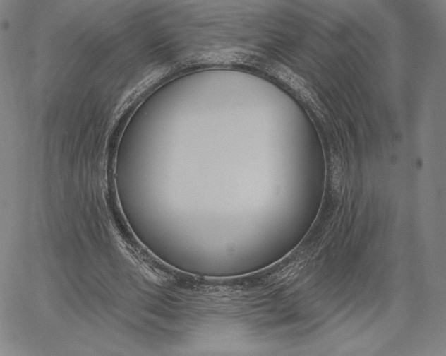 X0000067330486200604131704