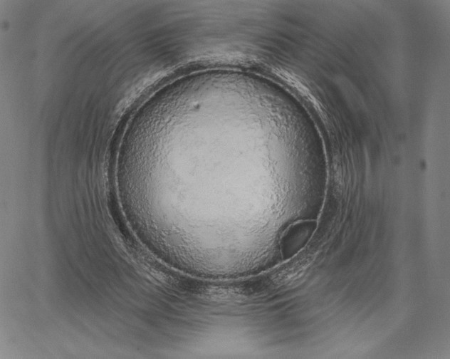 X0000067330487200604131704