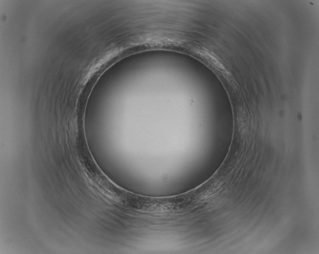 X0000067330488200604131704