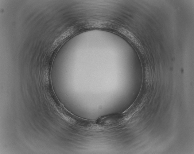 X0000067330489200604131704