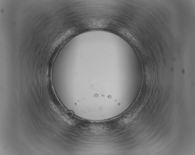 X0000067330490200604131704