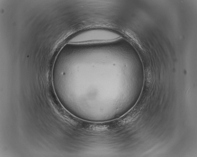 X0000067330491200604131704