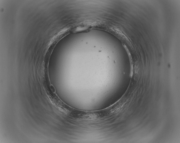 X0000067330492200604131704