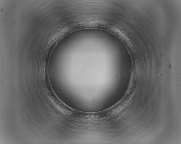 X0000067330493200604131704