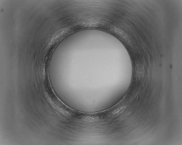 X0000067330494200604131704