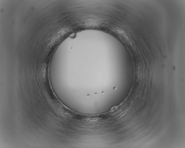 X0000067330495200604131704