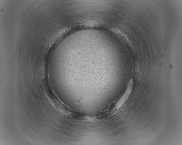 X0000067330496200604131704