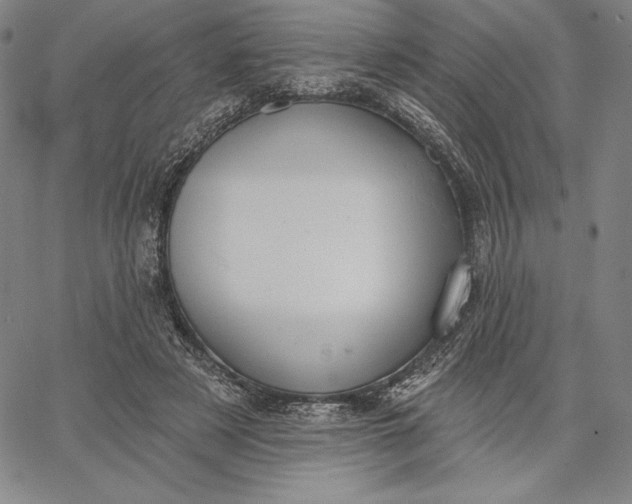 X0000067330497200604131704