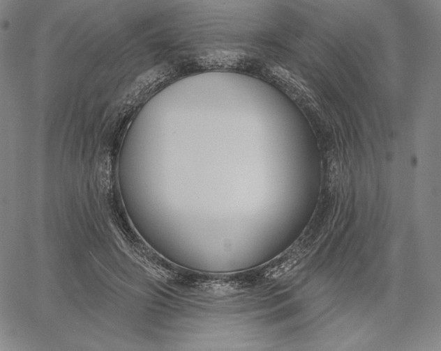 X0000067330498200604131704