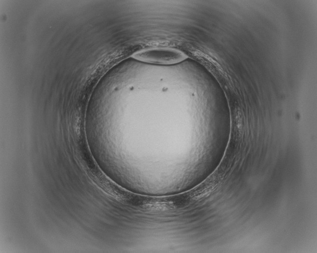 X0000067330499200604131704