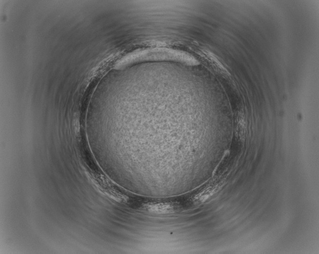 X0000067330500200604131704