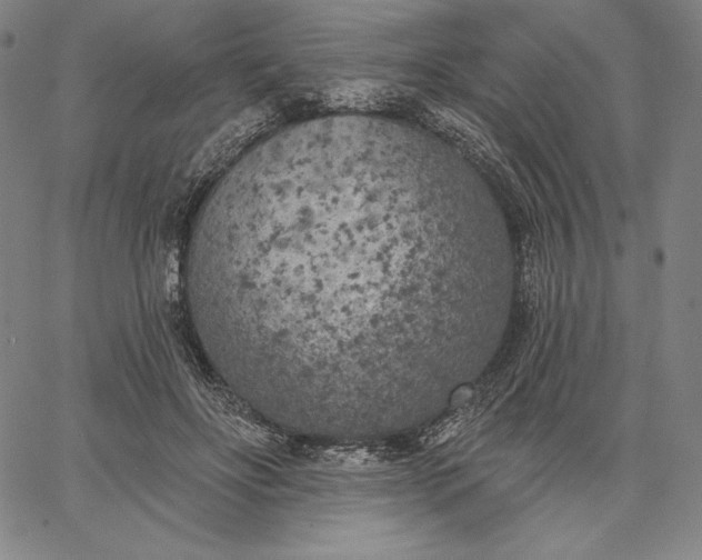 X0000067330502200604131704