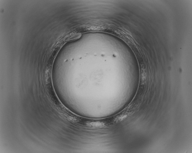 X0000067330503200604131704