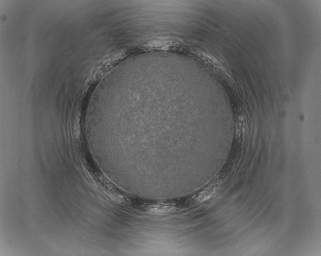 X0000067330504200604131704