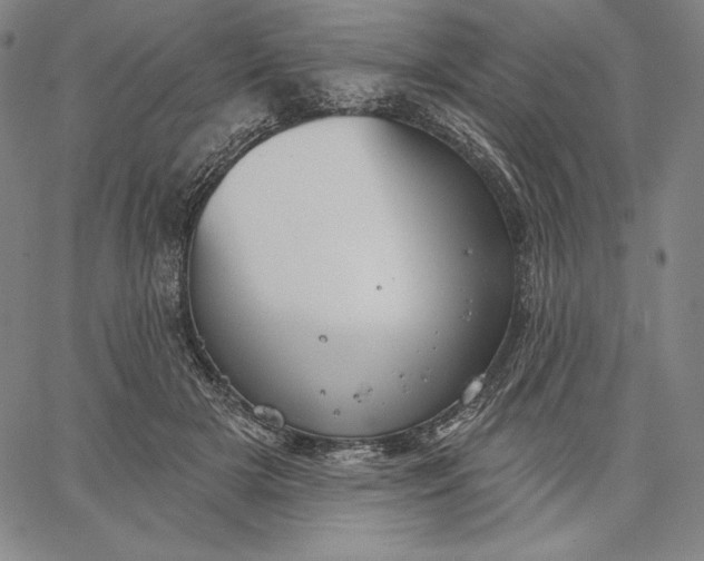 X0000067330505200604131704