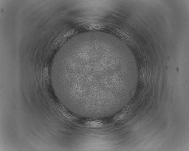 X0000067330506200604131704